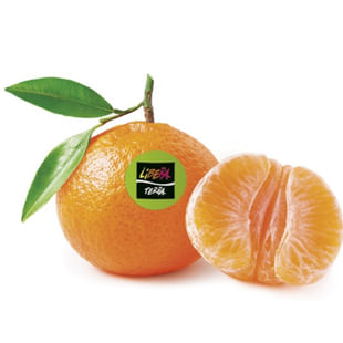 Clementine Biologiche Grandi Quantità (≥ 490 Kg) CAT II CAL 3/5 Origine: Calabria