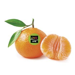 Clementine Biologiche Grandi Quantità (≥ 490 Kg) CAT II CAL 3/5 Origine: Calabria