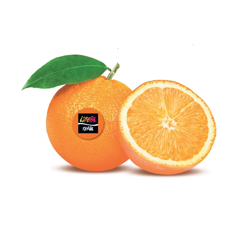 Arance Navel Biologiche Calabria (box Da 10 Kg) - CAT II CAL 7/9