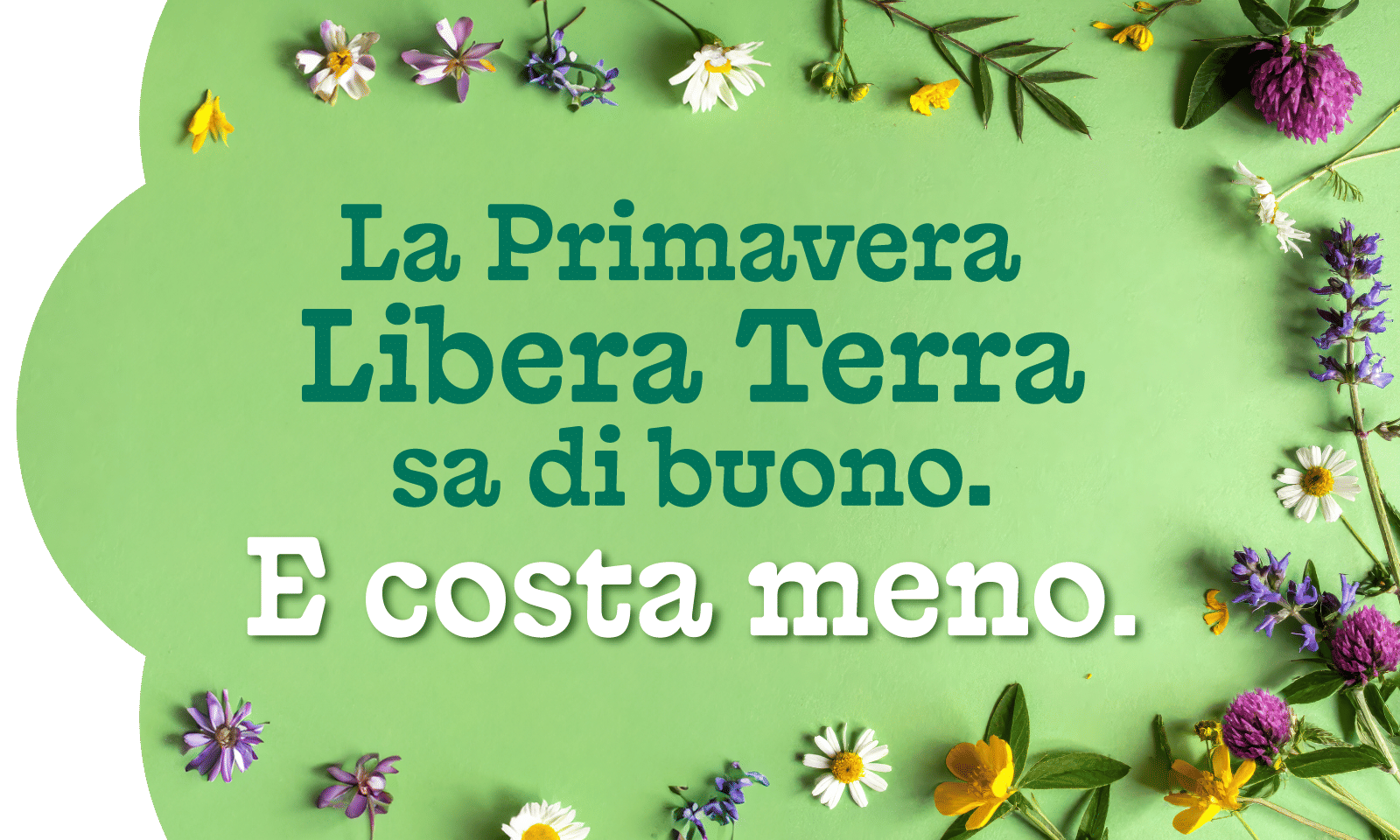 Promo Primavera desk