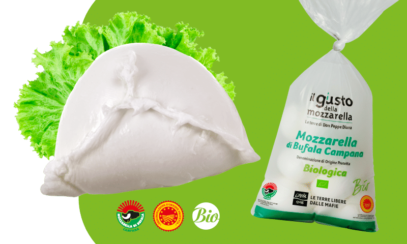 Mozzarella-desk