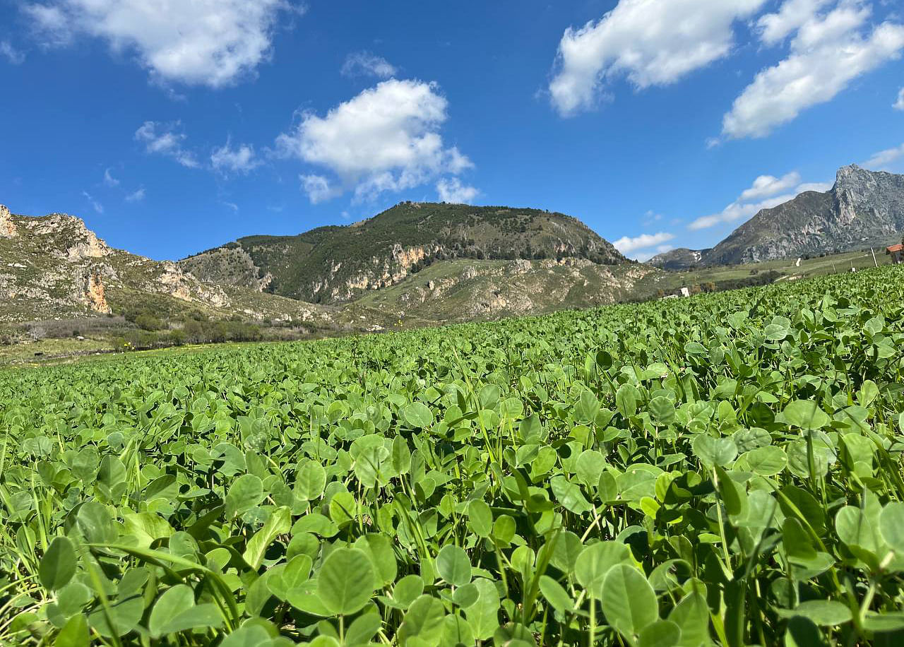 Controllo insetti in agricoltura