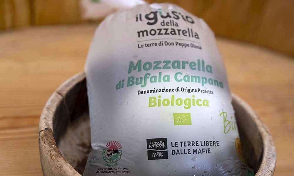 mozzarella di bufala campana dop libera terra